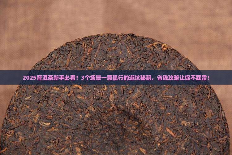 一意孤行普洱茶