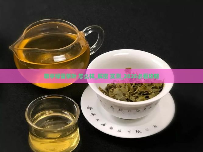 敬亭绿雪茶叶怎么样