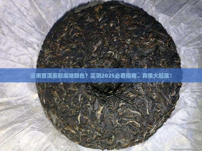 云南普洱茶属于哪种颜色