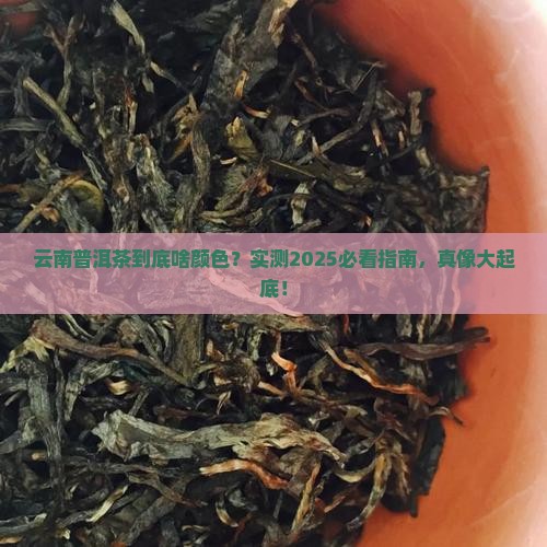 云南普洱茶属于哪种颜色