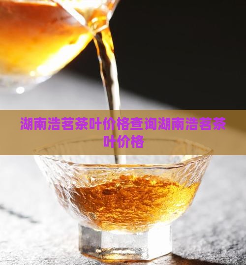 湖南浩茗茶叶价格 湖南浩茗茶叶价格
