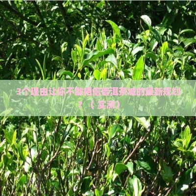 普洱茶城最新规划