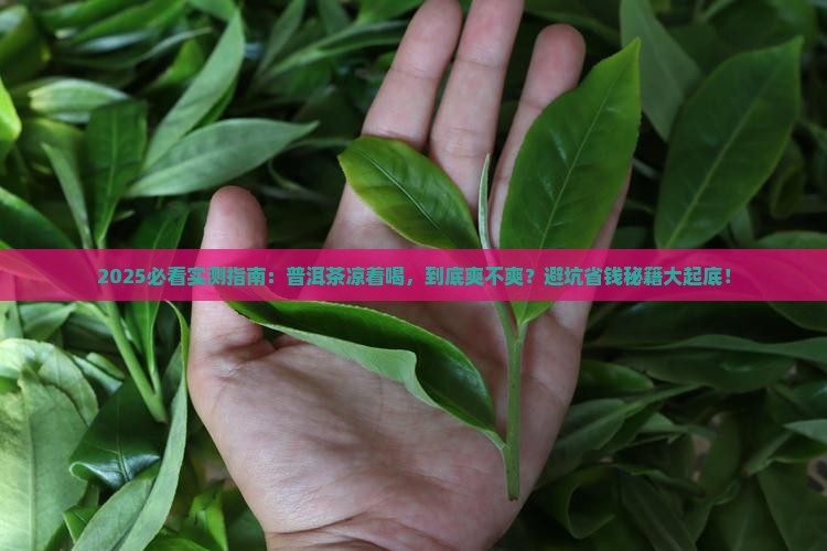 喝普洱茶凉着喝好吗