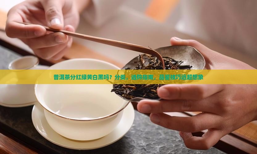 普洱茶分红绿黄白黑吗