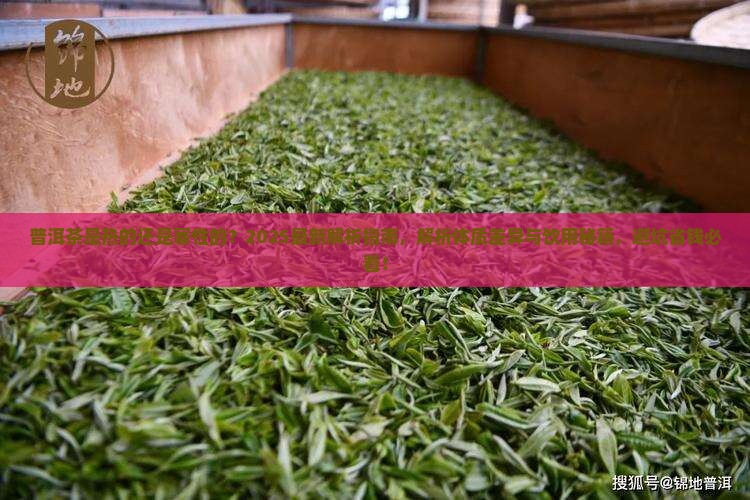 普洱茶是热的还是寒性的
