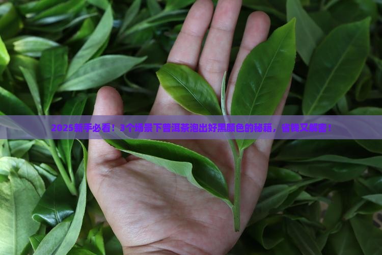 普洱茶泡怎么好黑