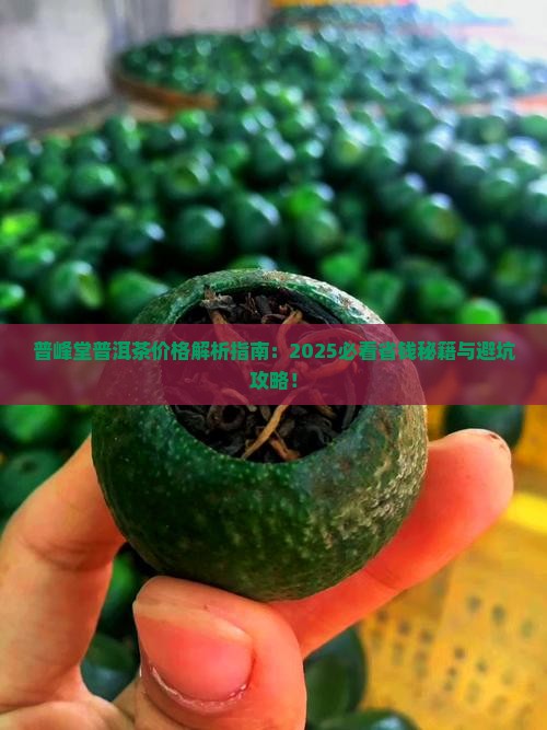 普峰堂普洱茶价格表