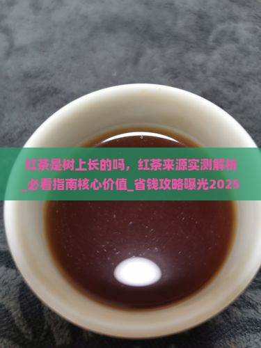 红茶是树上长的吗