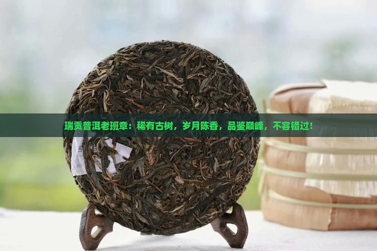 瑞贡普洱老班章