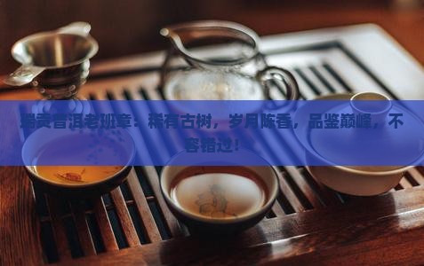 瑞贡普洱老班章