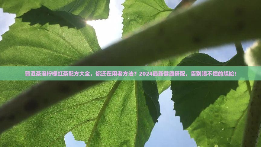 普洱茶泡柠檬红茶配方大全