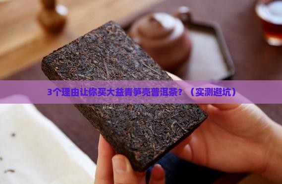 大益青笋壳普洱茶