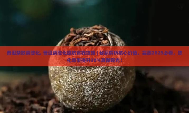 普洱茶散茶陈化