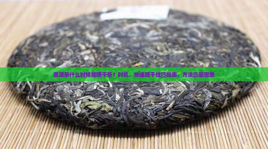 普洱茶什么时候能晒干茶