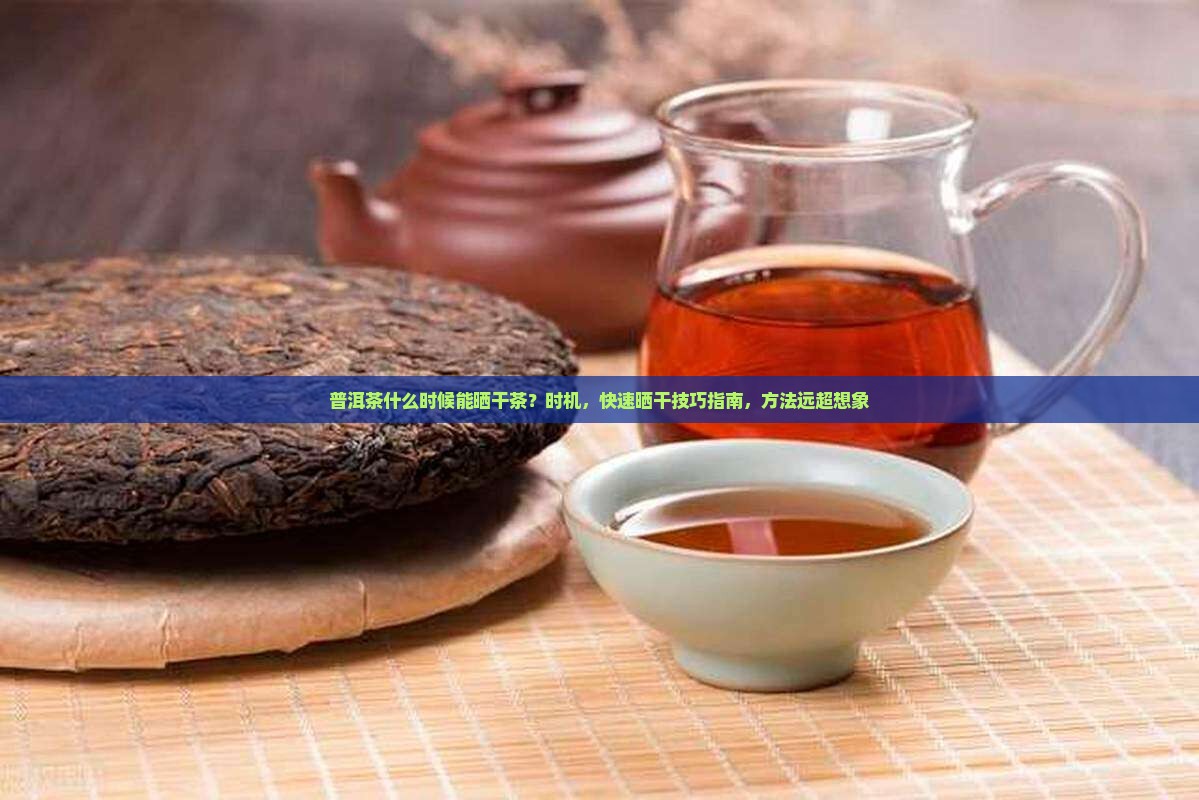 普洱茶什么时候能晒干茶