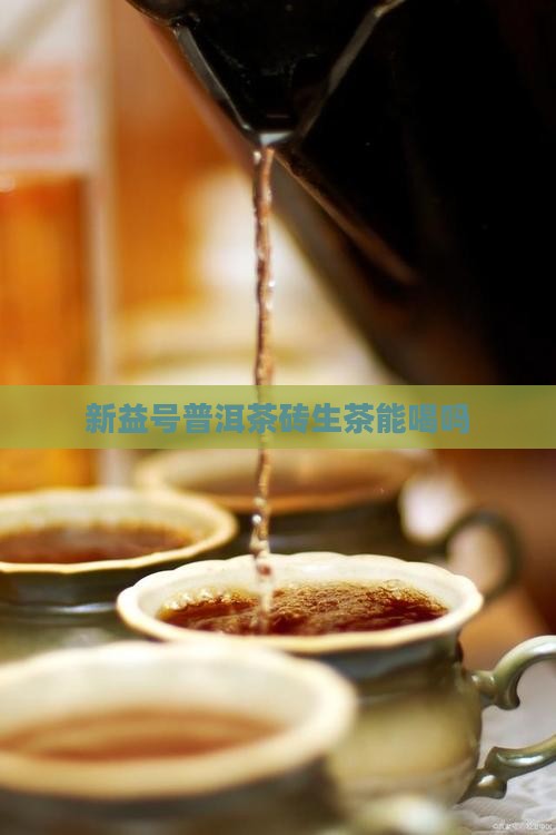 新益号普洱茶砖生茶