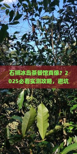 石狮冰岛茶餐馆