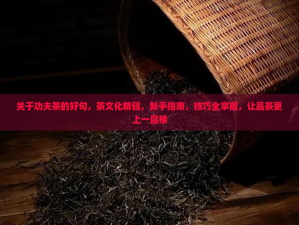 关于功夫茶的好句