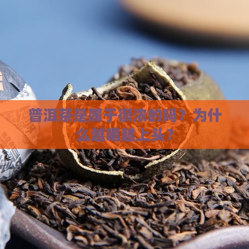 普洱茶是属于很浓的吗为什么