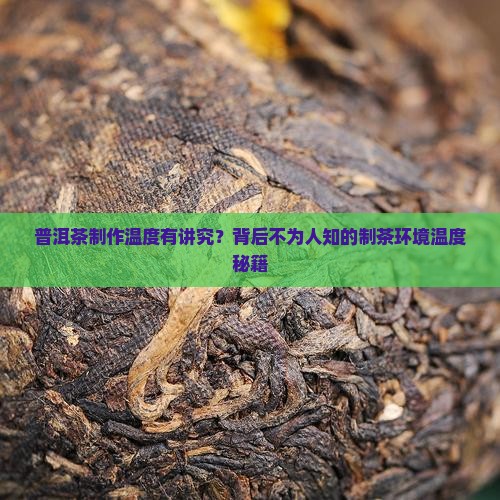 普洱茶的制茶环境温度要求