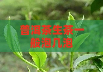 普洱茶生茶一般泡几泡