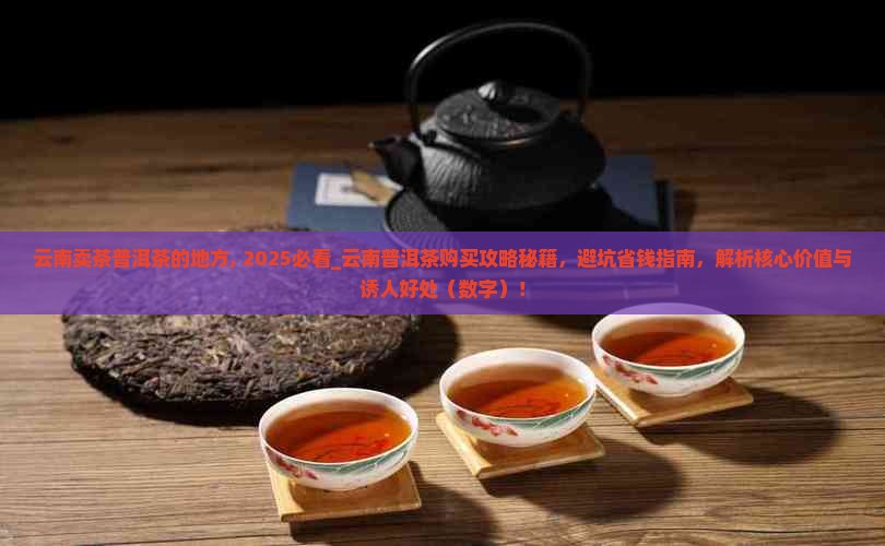云南卖茶普洱茶的地方