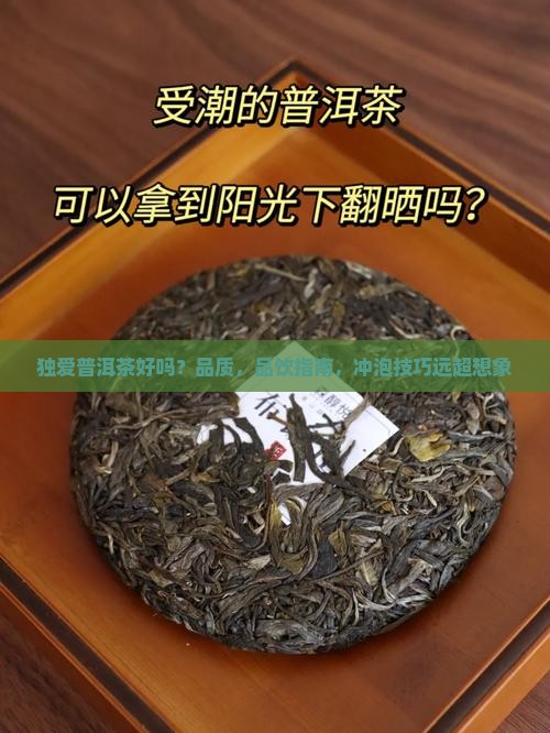 独爱普洱茶好吗