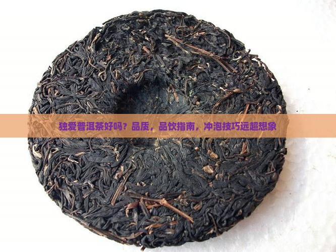 独爱普洱茶好吗