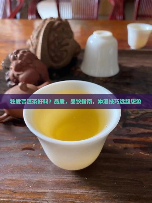 独爱普洱茶好吗