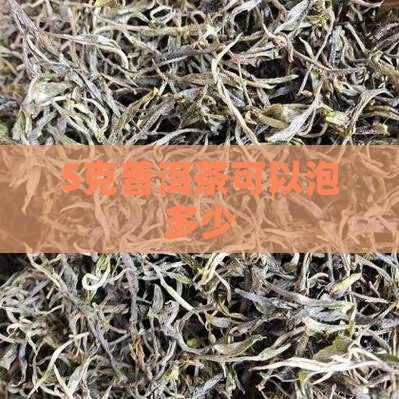 5克普洱茶可以泡多少