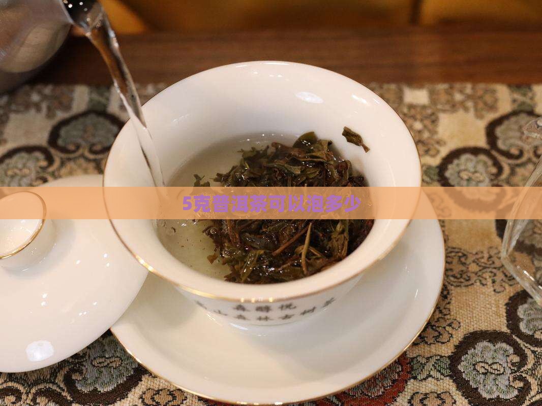 5克普洱茶可以泡多少