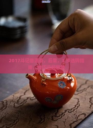 2017斗记普洱茶