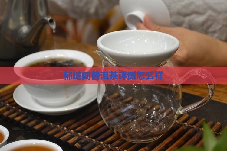郁岫阁普洱茶评测
