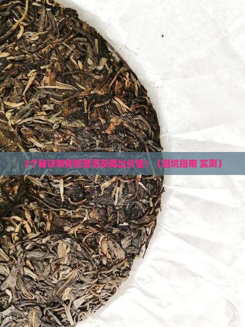 普洱茶怎么窖藏