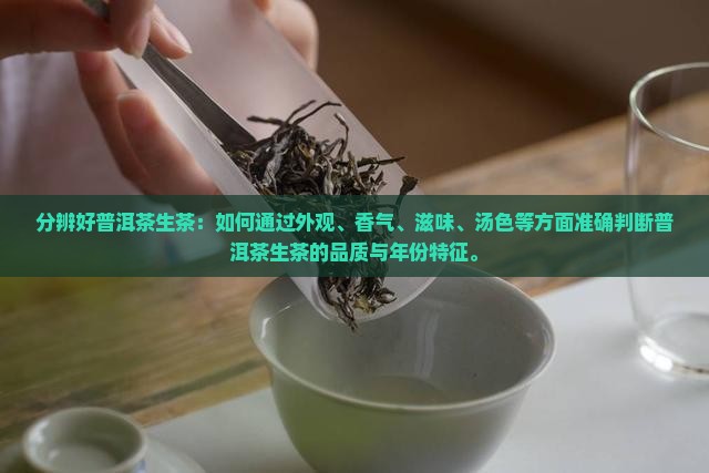 分辨好普洱茶生茶