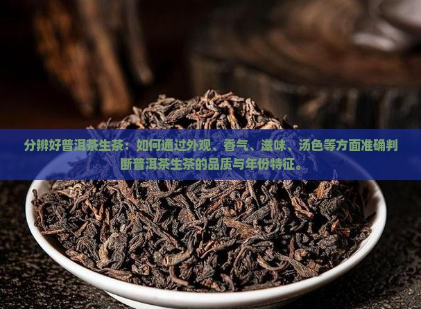 分辨好普洱茶生茶