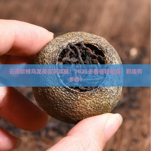 云南软枝乌龙茶
