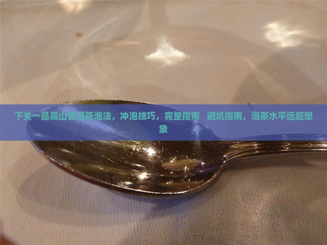 下关一品高山普洱茶泡法