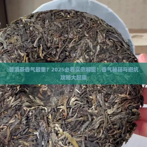 普洱茶香气最重