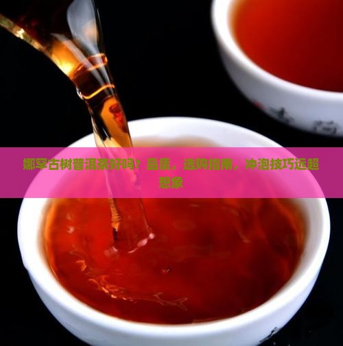 娜罕古树普洱茶好吗