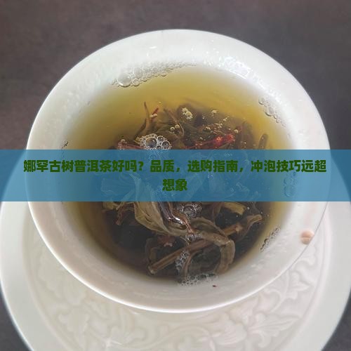 娜罕古树普洱茶好吗