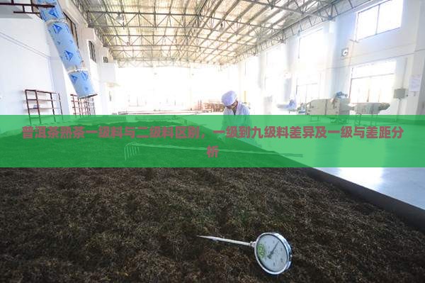 普洱茶熟茶一级料