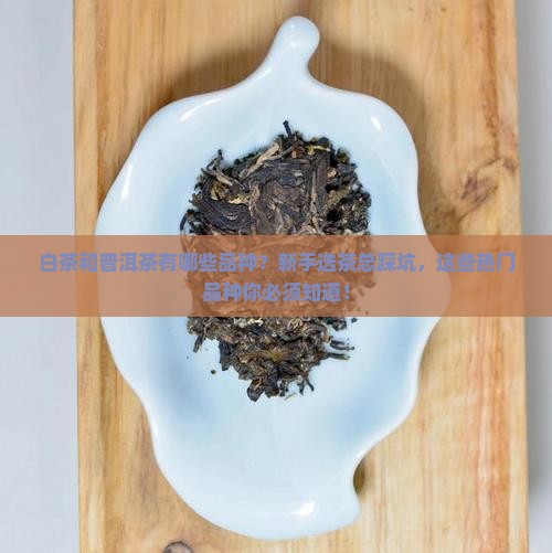 白茶和普洱茶有哪些品种