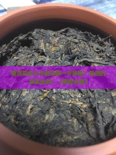 普洱茶多少斤新采做一斤熟茶