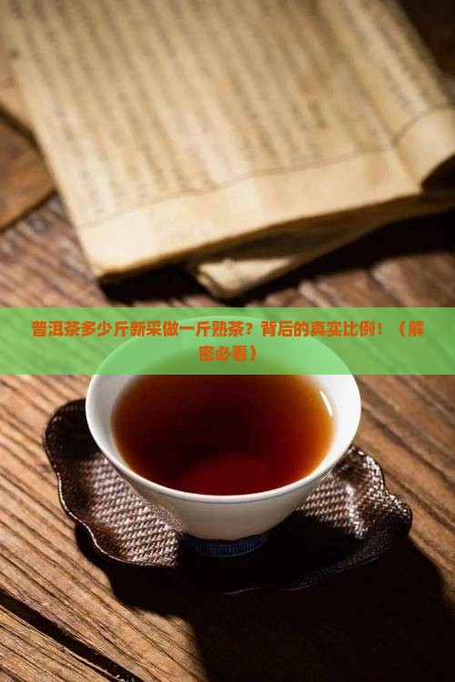 普洱茶多少斤新采做一斤熟茶