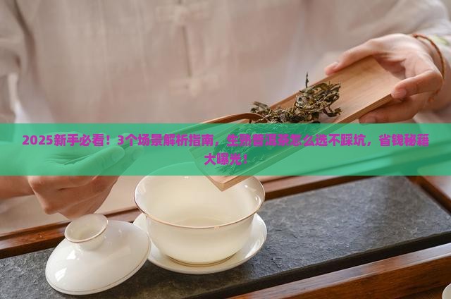 怎么看生普洱茶和熟普洱茶