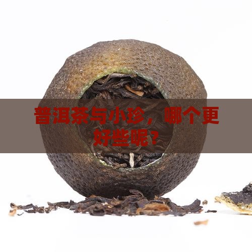 小珍与普洱茶哪个好些呢