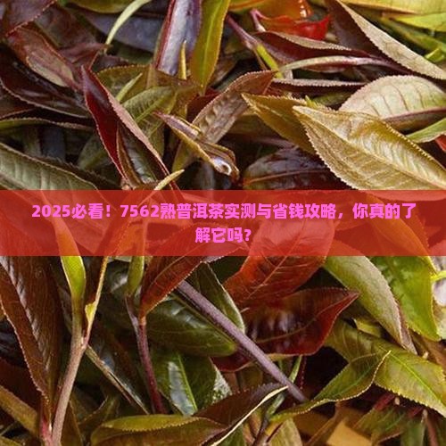 7562熟普洱茶