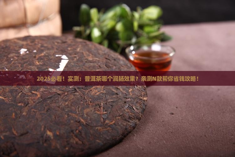 普洱茶哪个润肠效果好一点
