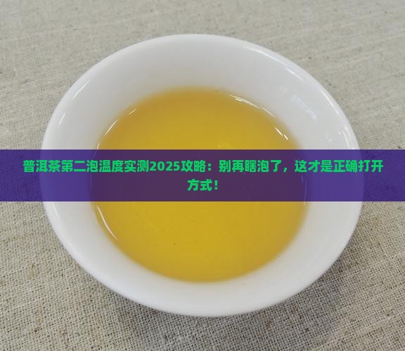 普洱茶第二泡温度